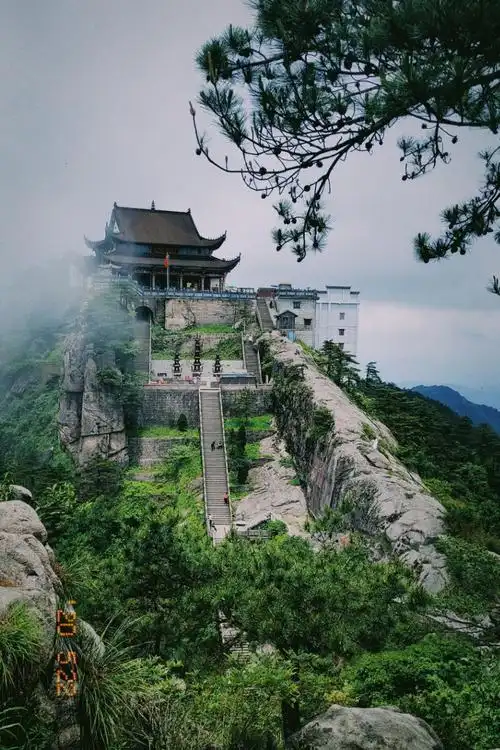 第一次上九华山天台那么高竟然还有野猫