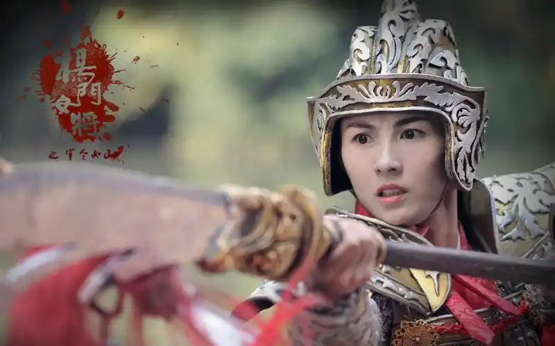 张柏芝《杨门女将之军令如山》,剧照图片,高清壁纸,中国影视-回车桌面