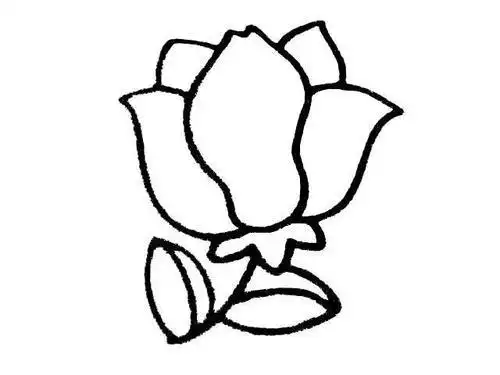 适合画画新手画的简笔画