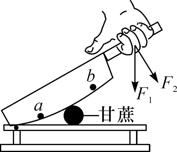 贵州省遵义市2018中考物理总复习第8讲机械与人同步精练答案