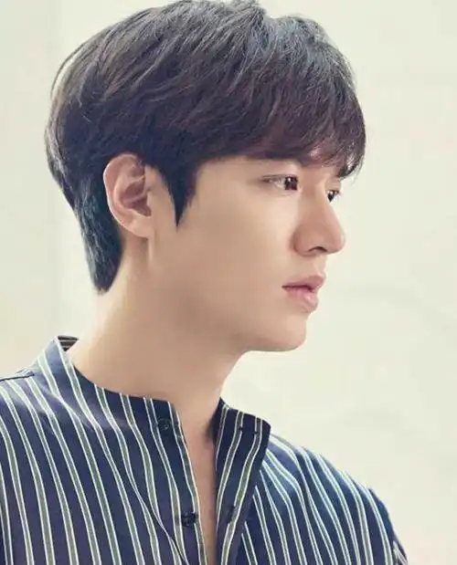 李敏镐侧颜男神啊!   显示全部