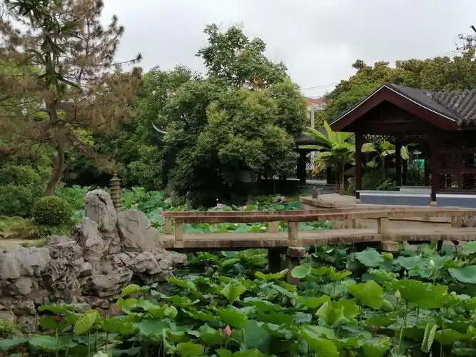 上海奉贤区古华公园游记