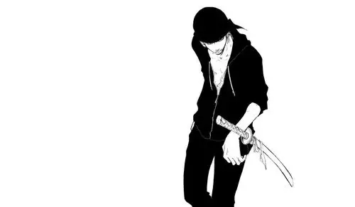 谁有海贼王的黑白图片,路飞海贼团的每个成员的