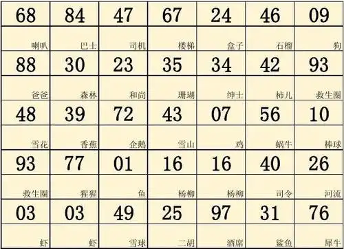 数字与编码对照记忆 (含5,20,50位)