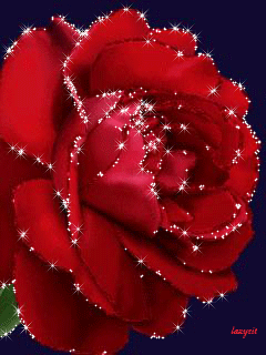 gif# #鲜花# #玫瑰# 灬铃兰灬采集