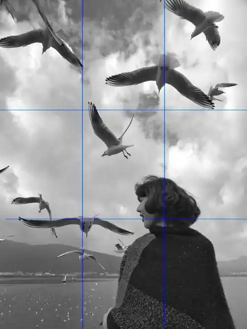 辅助线构图法,也称井字构图法,九宫格构图法,将主体放置在辅助线交叉