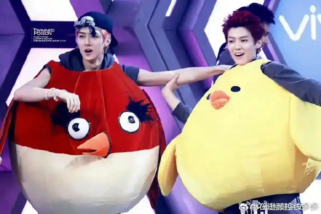 卢昱晓回应追鹿晗吴世勋