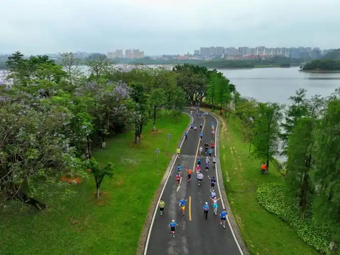 严谨专业2024东莞松山湖科学城半程马拉松赛赛道丈量完毕