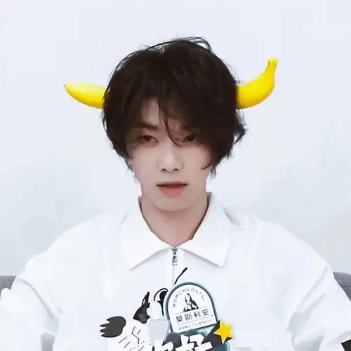 华晨宇闺蜜头像