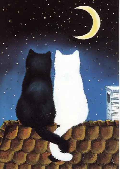 [转载]anna hollerer猫咪插画作品