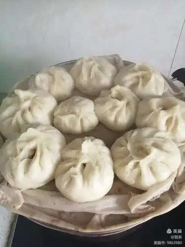 自己蒸包子,味道好极了