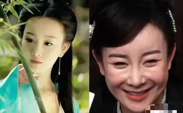 整容失败女明星有哪些(整容失败的女明星张檬)-今美刻-记录今日时尚