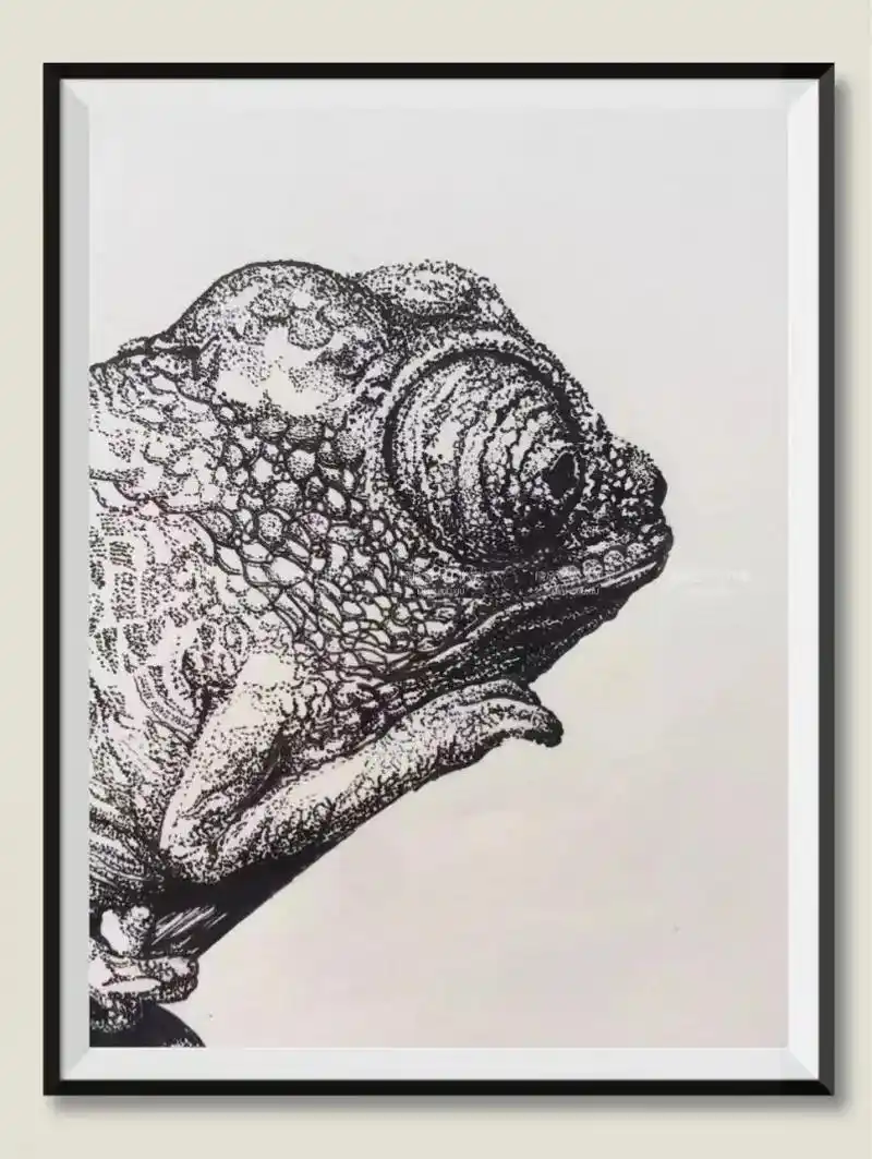 变色龙针管笔黑白点绘