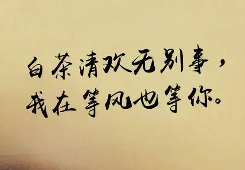 白茶清欢无别事,我在等风也等你.