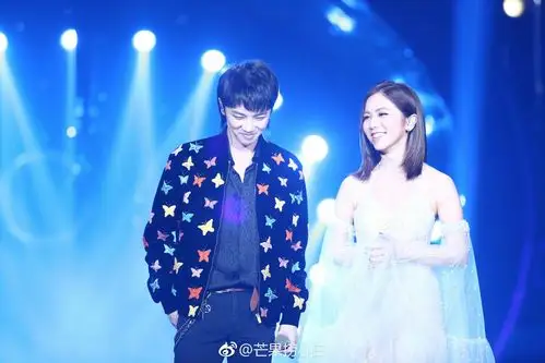 华晨宇,邓紫棋,歌手