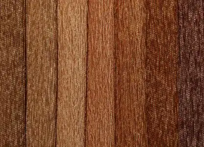 浅棕色暗棕色图片