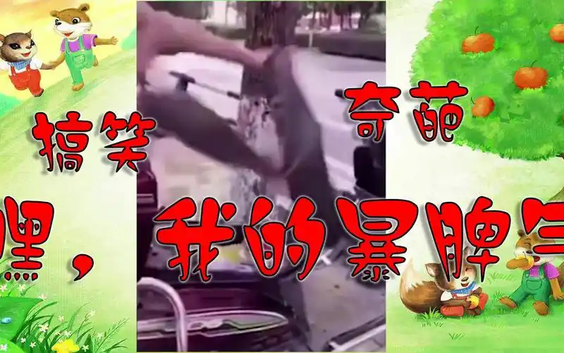 搞笑配音:嘿,我这暴脾气
