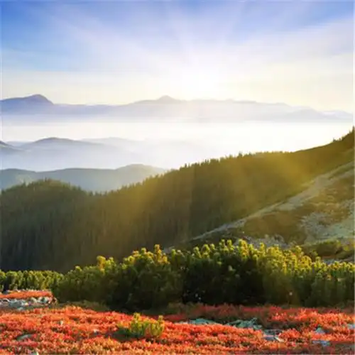 适合一辈子风景头像图片 高清值得一辈子不换的头像风景_风景微信头像