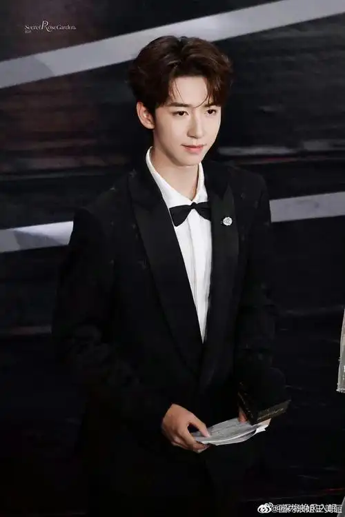 今晚主持人贺峻霖上线 控场,腔调都很舒服!