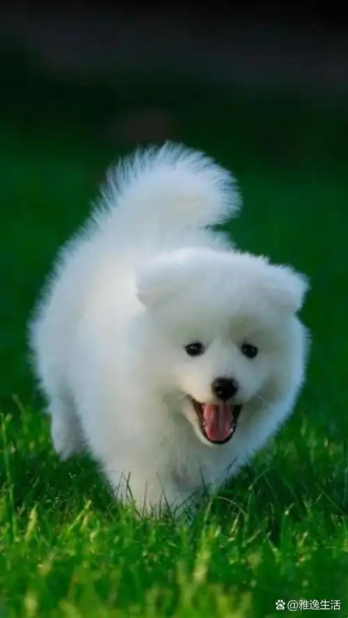 这些家伙的笑容,真是治愈系满满!