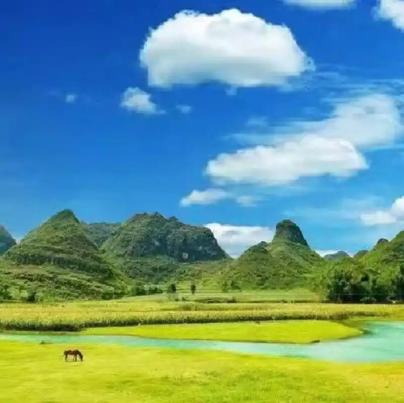 福利来啦|2023年旺运旺财旺事业 新人报道给大家送一波福利,图片可以