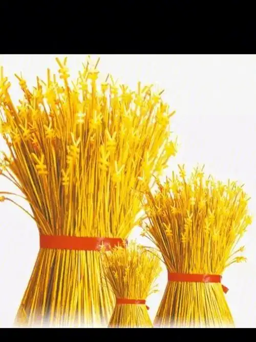 一根稻草的启示