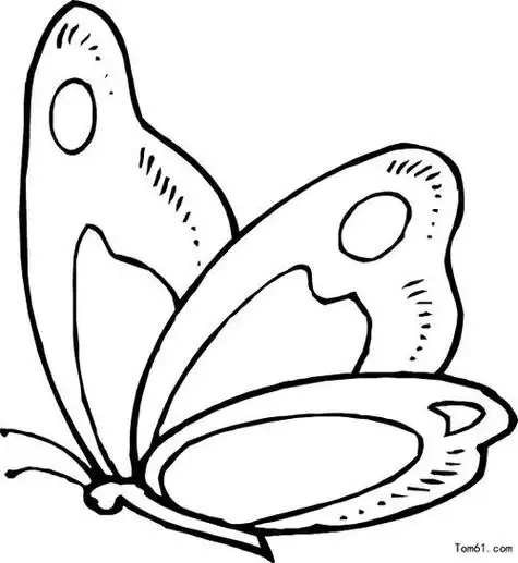 蝴蝶-简笔画图片-儿童资源网手机版