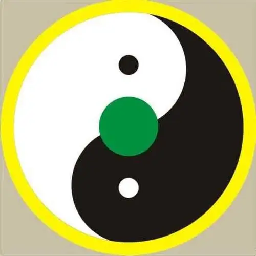 潘长军教授:潘氏唯一正宗风水界开天辟地高级化解法之潘氏太极图