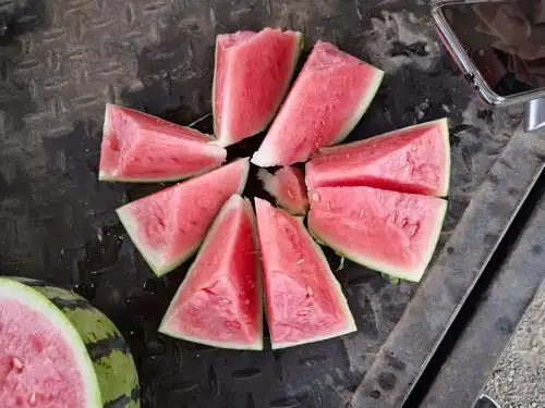 瓦岗前皮洼富硒西瓜采摘节,5月26号早上十点正式开园,欢迎新老顾客前