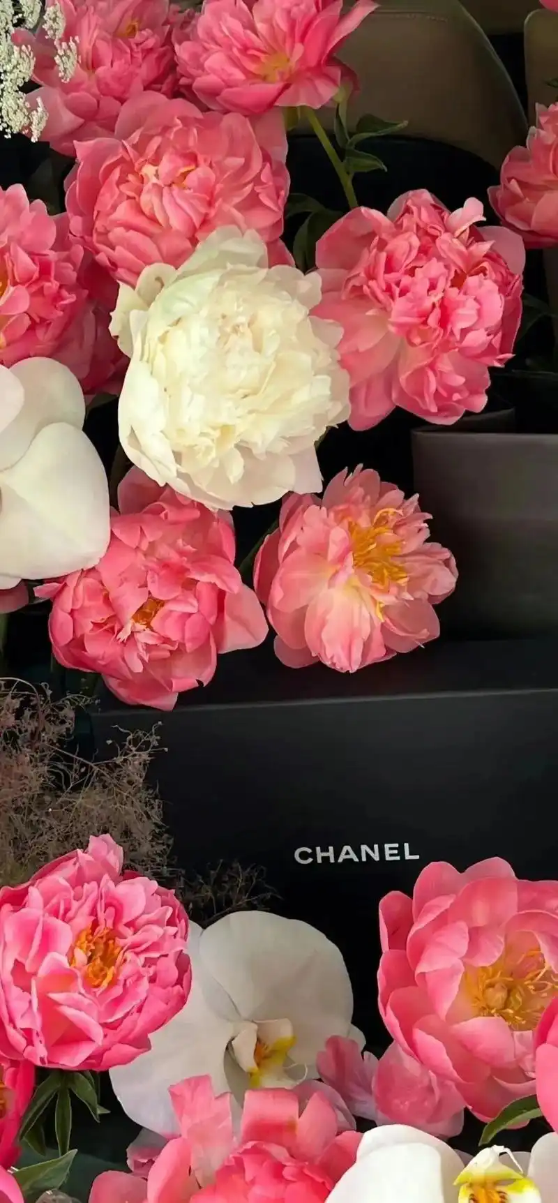 壁纸|非常个性的壁纸速速来换呀