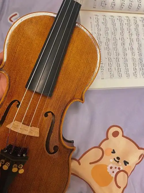 就是说我换了新的小提琴老师06