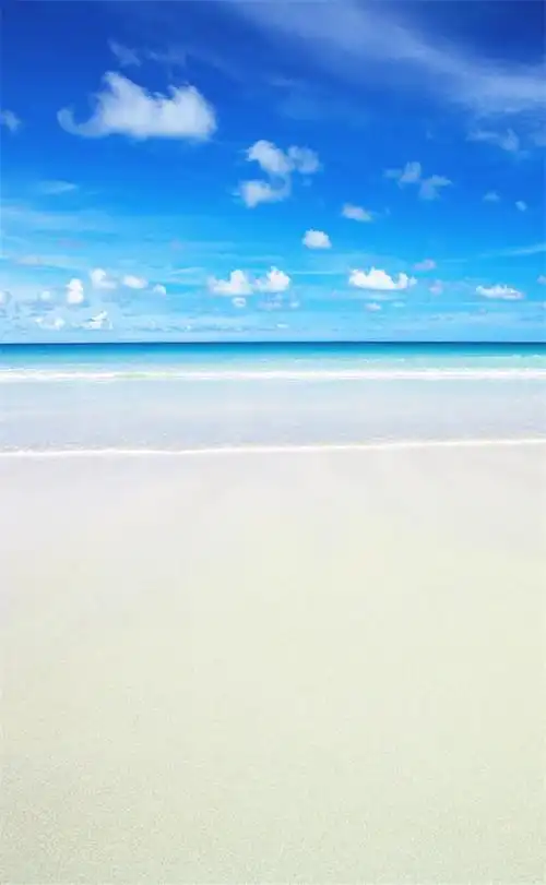 保护眼睛的桌面壁纸,绿色桌面背景图护眼(高清养眼绝美手机壁纸102张)