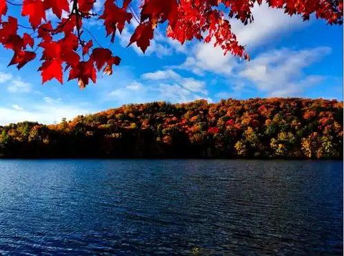 立委兄加拿大东部枫叶游511层林尽染