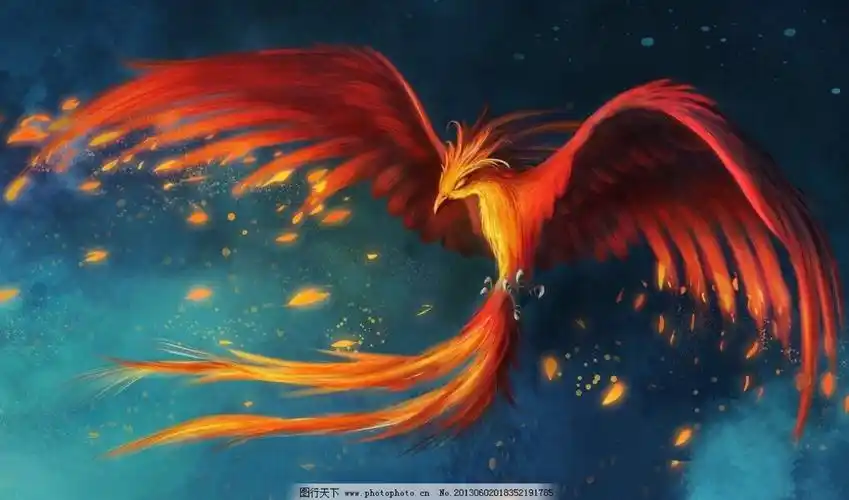 凤凰- 堆糖,美图壁纸兴趣社区