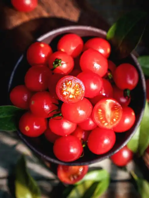 静物摄影阳光下的小番茄