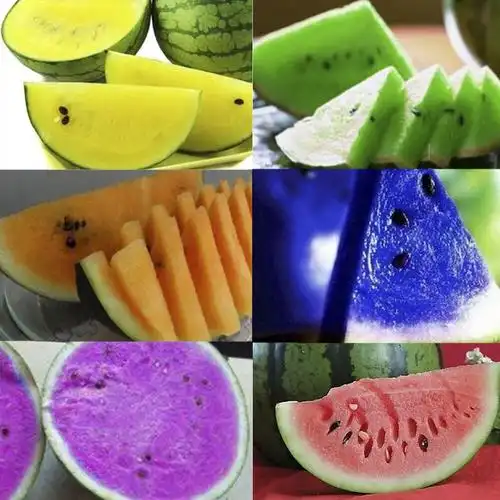 彩色西瓜 04 10pcs 5 colors rare watermelon seeds delicious fruit