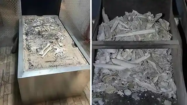 人火化后基因去哪了火化是否影响基因延续火葬会废除吗