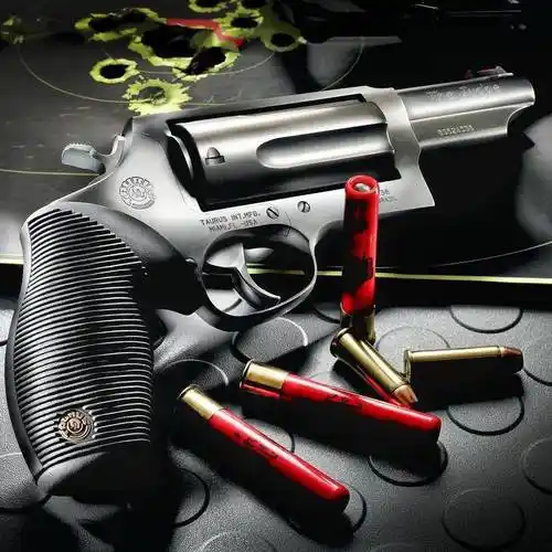 博采众长巴西陶鲁斯公司枪械美图欣赏