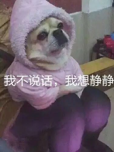狗穿着衣服装人:我不说话,我想静静_装人_我想_静静表情