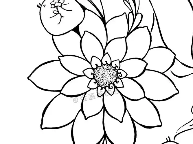 花卉和大鱼也很搭呀画画其实很简单这样练习你也可以