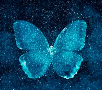 宇宙星空与蝴蝶照片