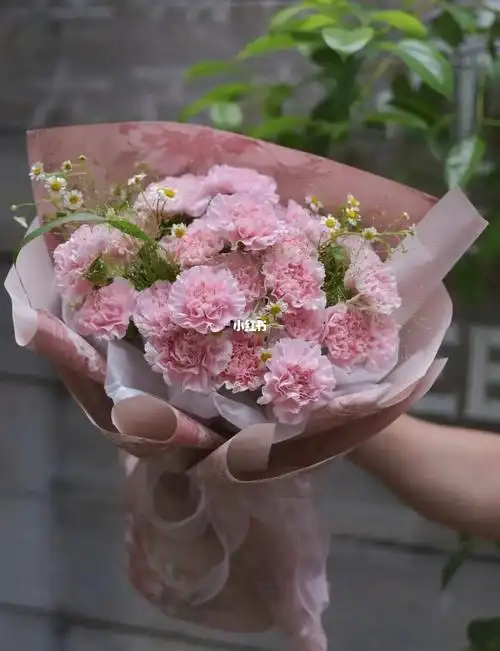 包装纸真的爱了爱了#贵州花店  #贵阳花店  #母亲节花束  #康乃馨花