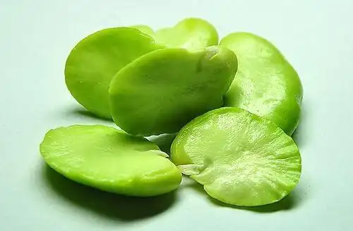 茴香蚕豆饼 - 茴香蚕豆饼做法,功效,食材 - 网上厨房