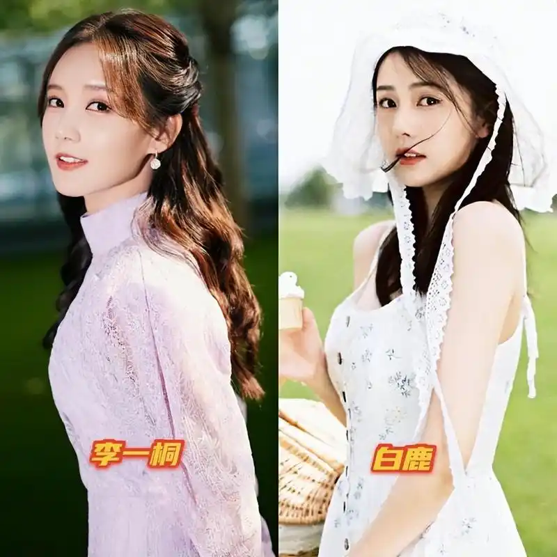 李一桐和白鹿谁更美?这是皮相和骨相美之争,一起来了解下!