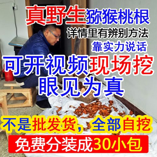 雪峰山野生毛花白猕猴桃根雄洋桃根藤梨根杨桃根 刀口药石苇石韦