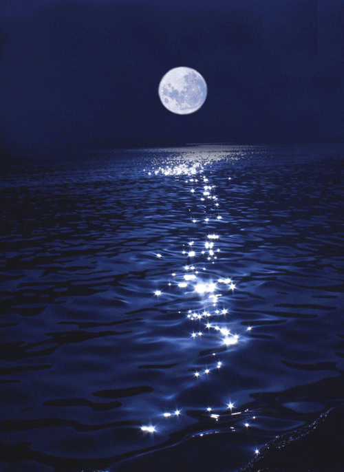 583_800竖版 竖屏gif 动态图 动图