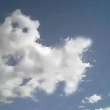 什么东西高高在上的狮子,▼海里的海豚跑天上来了小编带大家看下现在