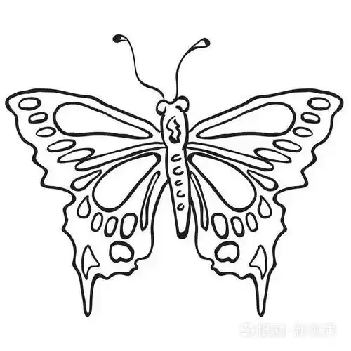 简单的黑白蝴蝶卡通