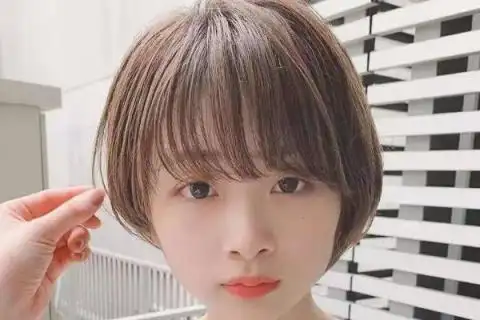 脸圆的适合什么发型