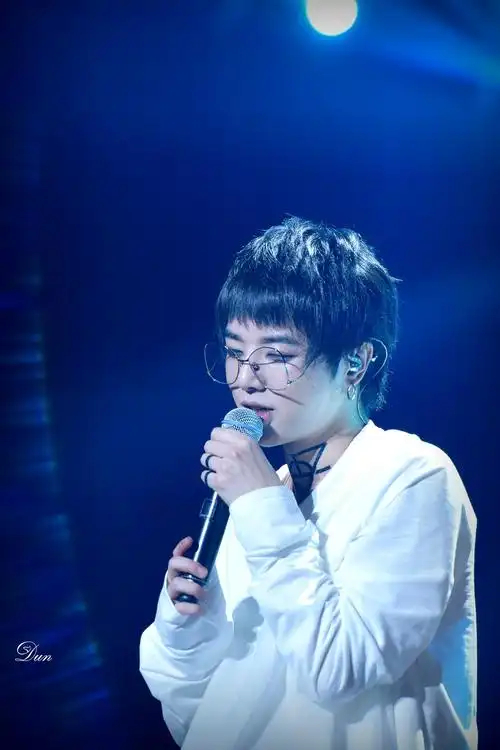 以及关于华晨宇樊博艺谈恋爱了,华晨宇演唱会二姐是谁,华晨宇张碧晨